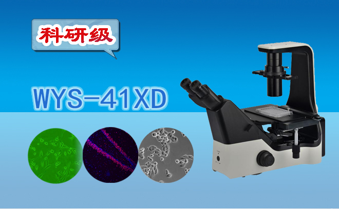 倒置生物顯微鏡.jpg 倒置生物顯微鏡.jpg