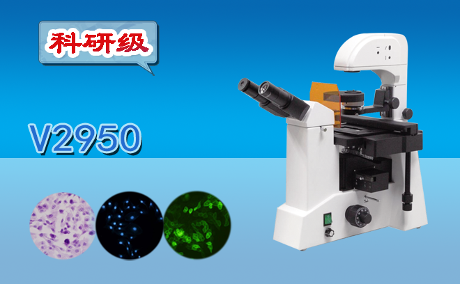 1666318428592840.png 熒光顯微鏡.png